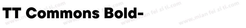 TT Commons Bold字体下载字体转换